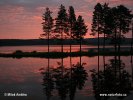 Lapland, sunrise