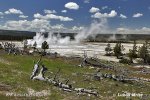 Yellowstone, Geysers