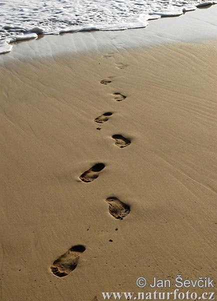 a love heart in the sand